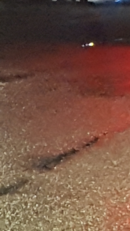 이번7월27일사진입니다