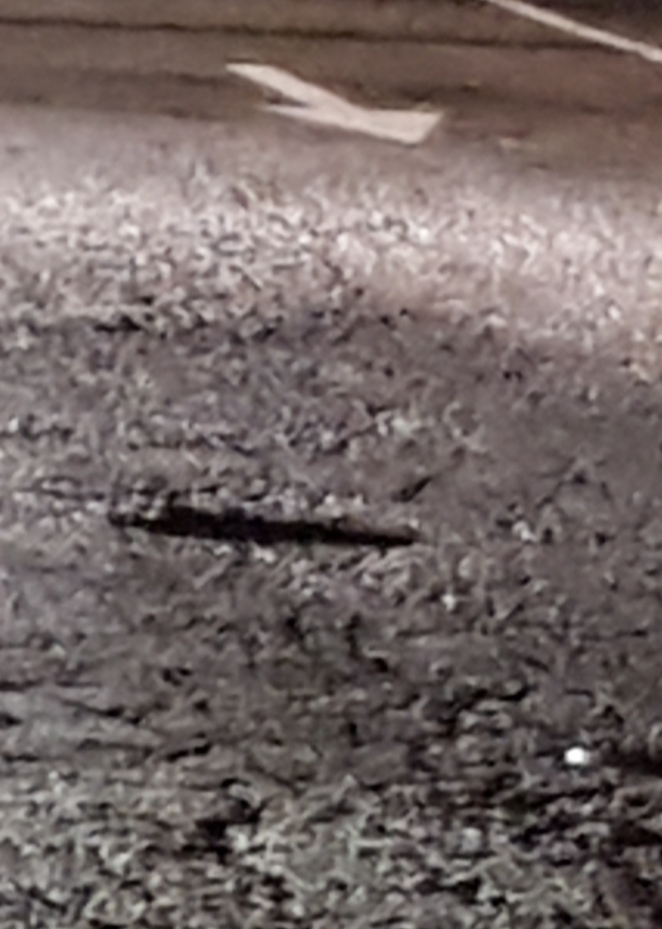 Screenshot_20190807-202833_Gallery