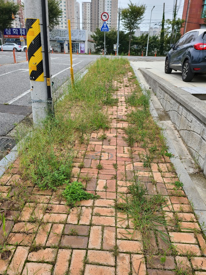 KakaoTalk_20200917_154425460