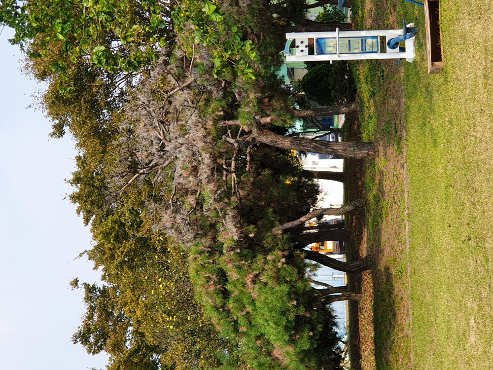 KakaoTalk_20200930_123356642