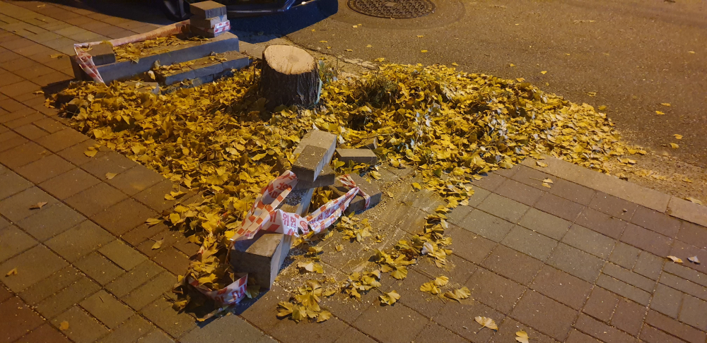 보도블럭 접촉 사고