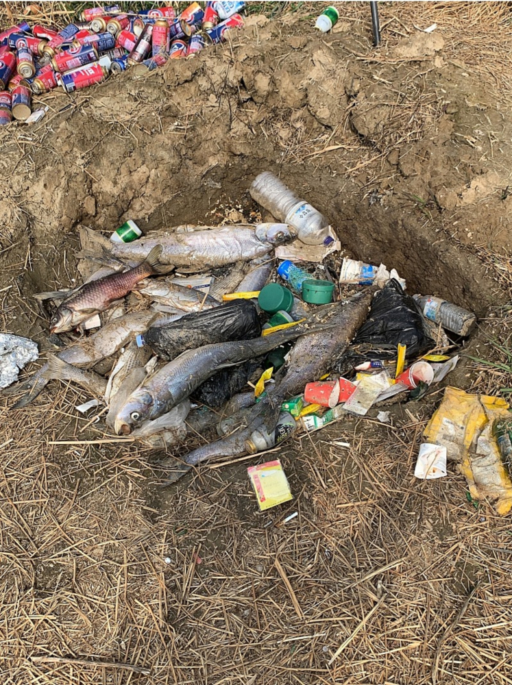 Screenshot_20210319-183925_SamsungInternet