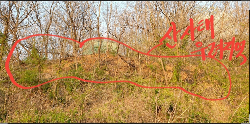 KakaoTalk_20210430_111019474