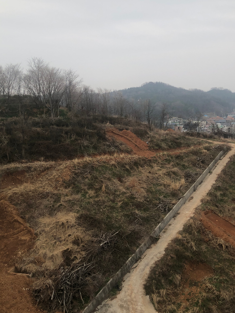 AB83A5DF-46AD-473F-8ACE-F1A67735FAE2