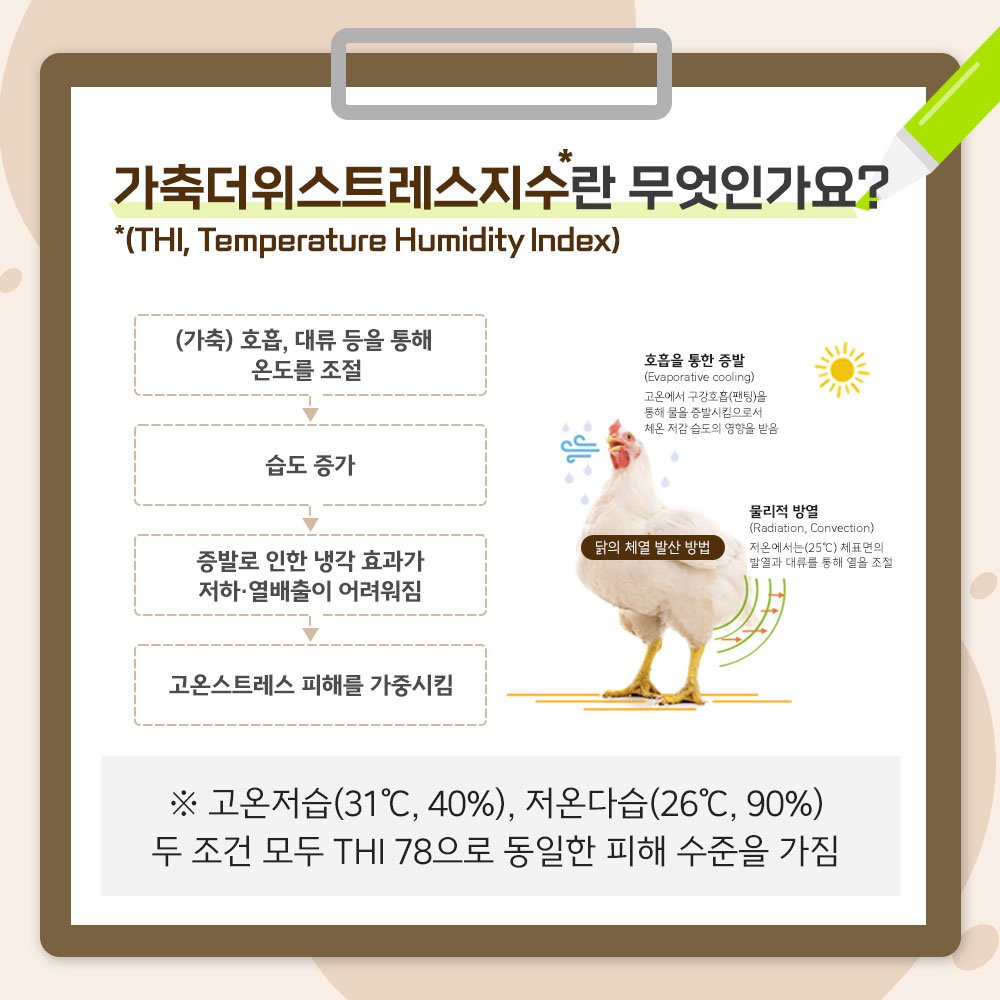 카드뉴스4