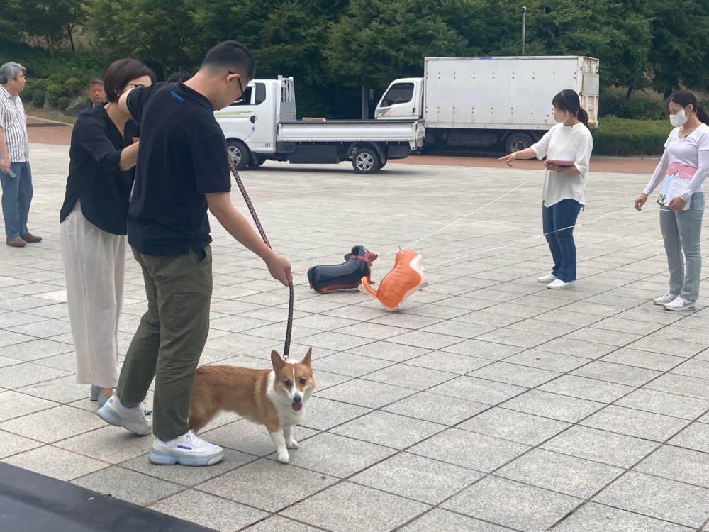 군산시립에술단과 함께하는 예술아 놀자 ! 광장 콘서트 #반려동물과 온 가족이 함께하는