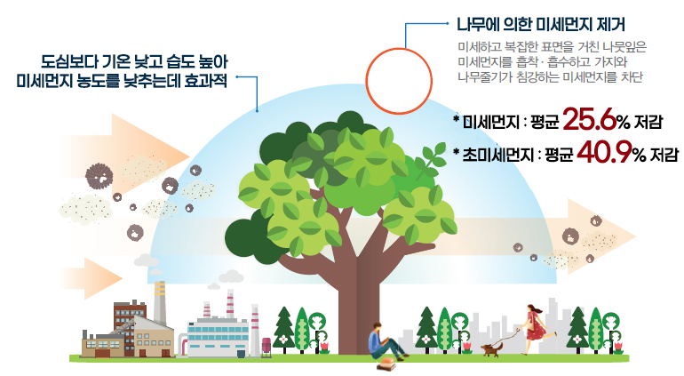 도심보다 기온낮고 습도 높아 미세먼지 농도를 낮추는데 효과적이며 나무에 의한 미세먼저 제거 미세하고 복잡한 표면을 거친나뭇잎은 미세먼지를 흡착흡수하고 가지와 나무줄기가 침강하는 미세먼지를 차단하여 미세먼지 평균 25.6%저감 초미세먼지 평균 40.9%저감 효과가 있다 