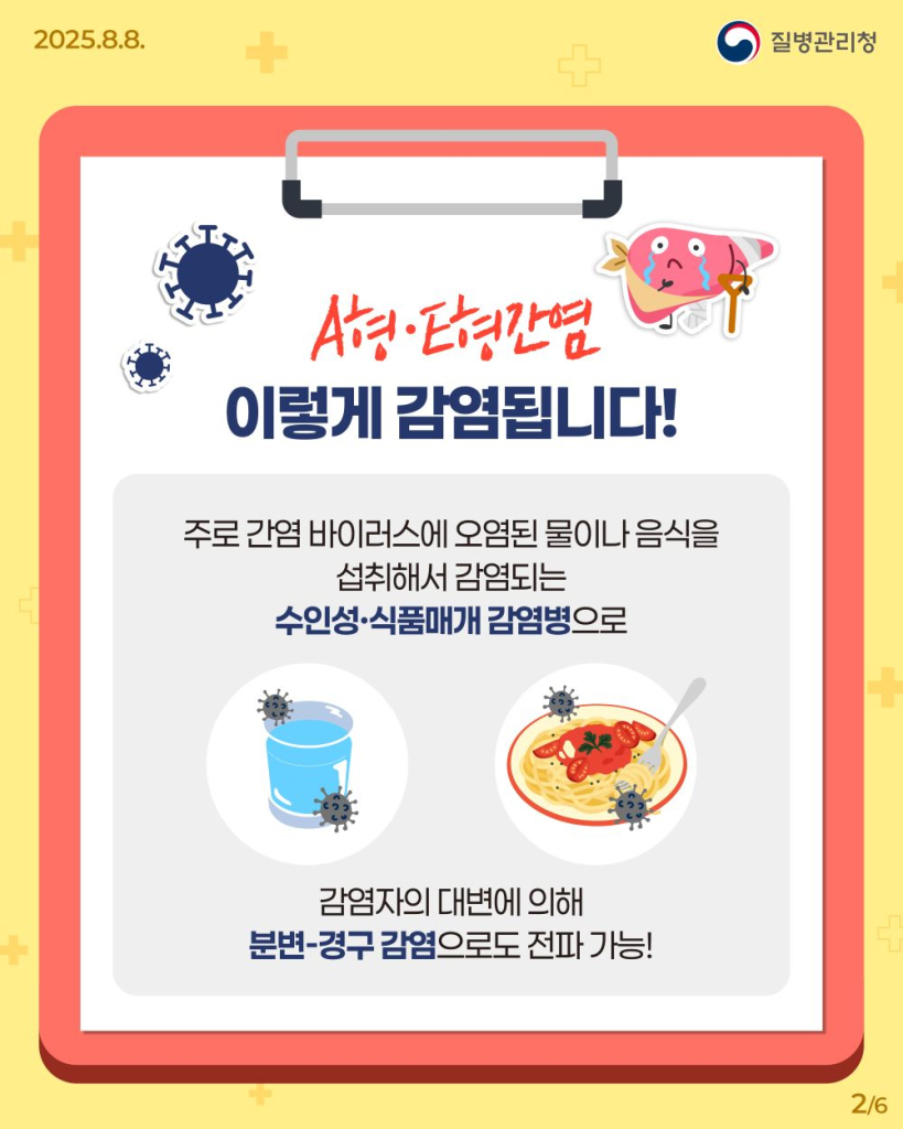 250808_A형·E형간염바로알기02