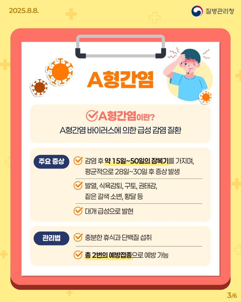 250808_A형·E형간염바로알기03