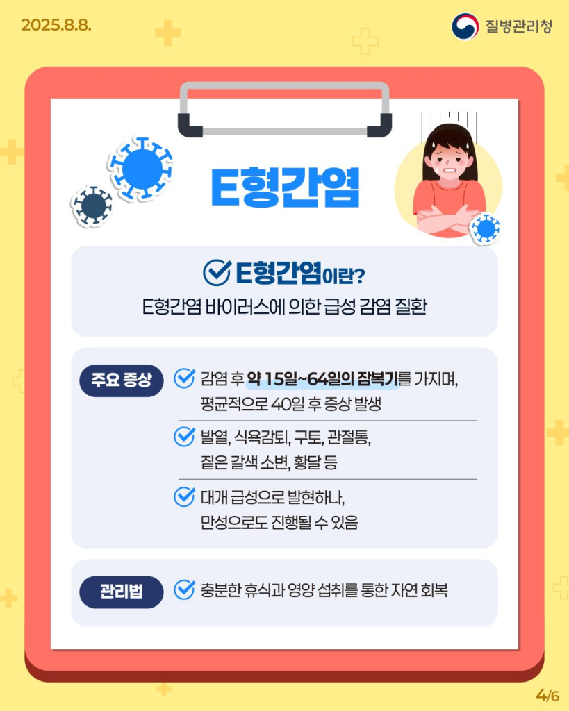 250808_A형·E형간염바로알기04