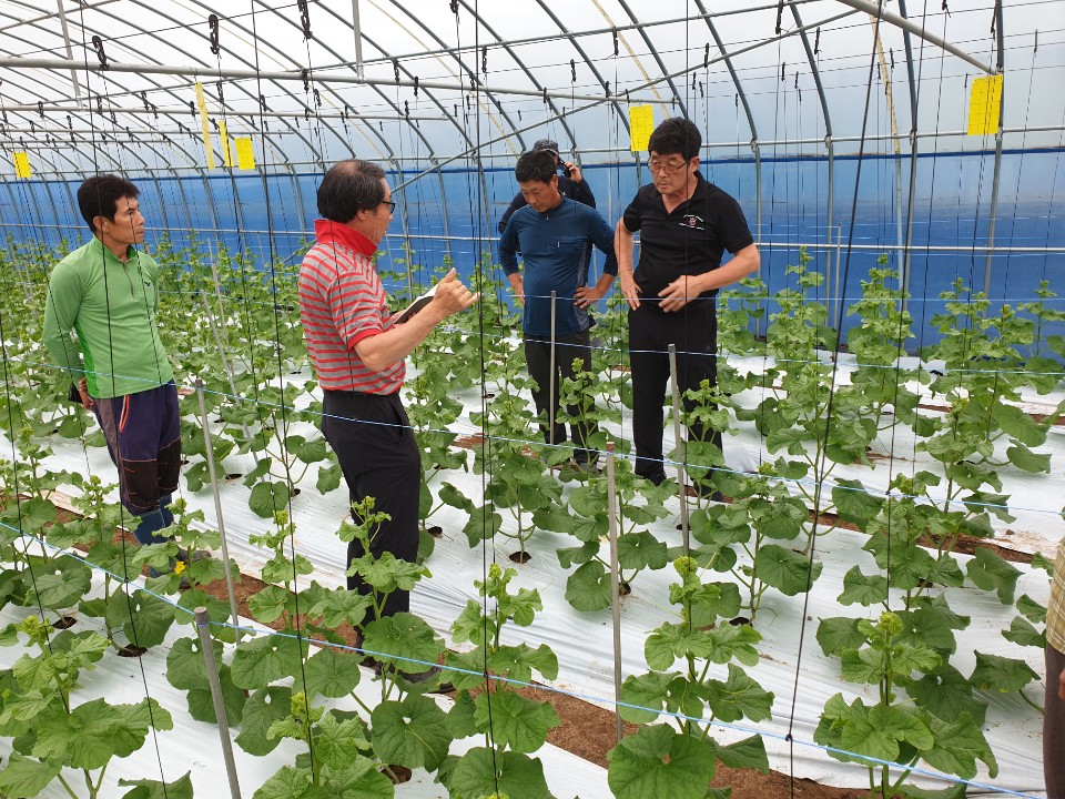 KakaoTalk_20200826_132425383_05