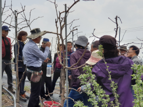 2019 강소농 농사직설학당 과수교육