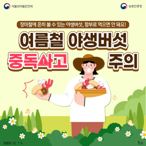 야생버섯 함부로 드시면 안 돼요!