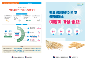 붉은곰팡이병 예방 및 곰팡이독소 저감 안내
