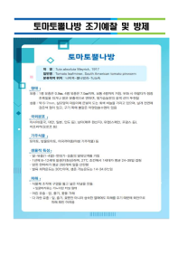 토마토뿔나방 조기예찰 및 방제