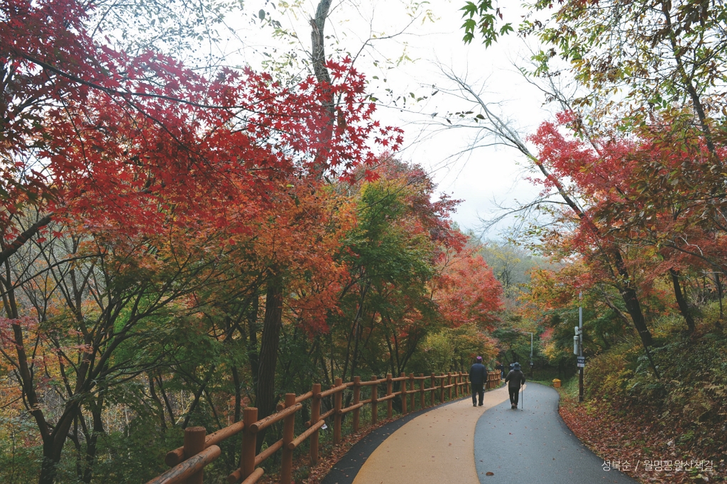 성복순_월명공원산책길