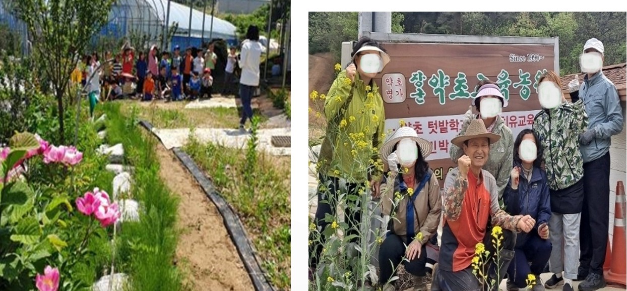 장군약초교육농장
