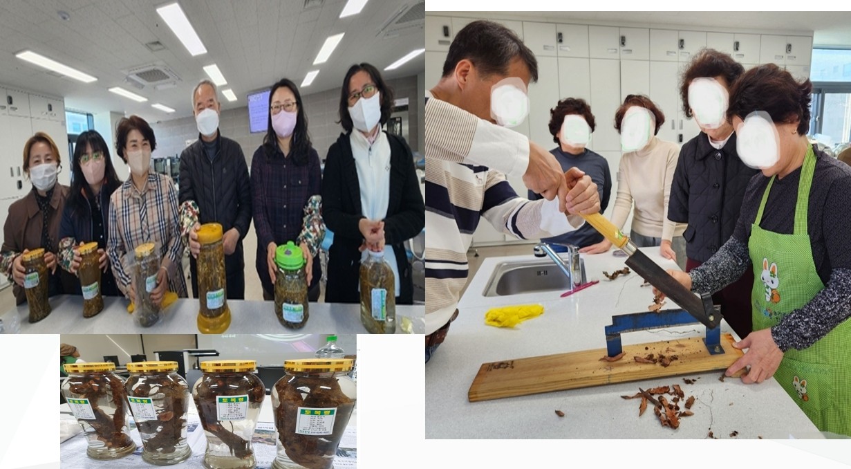 장군약초교육농장