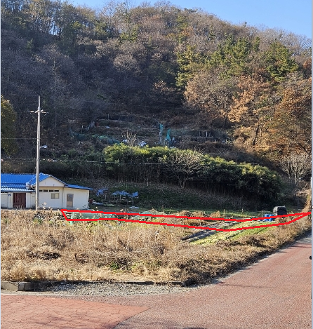 관련이미지4