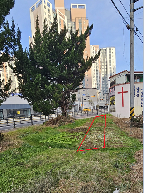 관련이미지4
