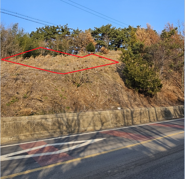 관련이미지4