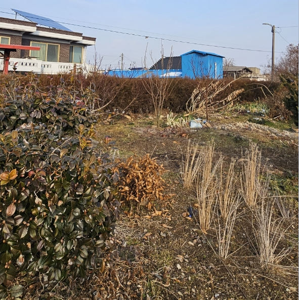 관련이미지4