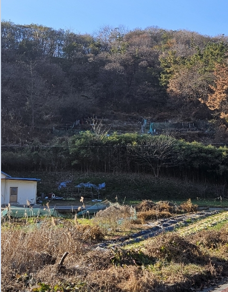 관련이미지4